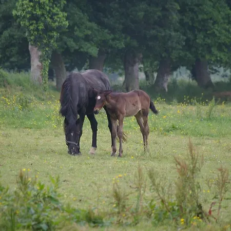 Marie France 's Sacey