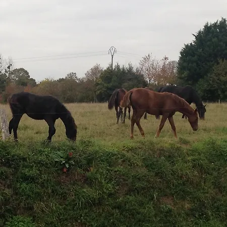 Oda ve Kahvaltı Marie France 's Sacey