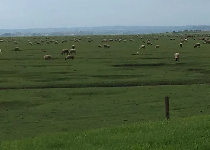 Marie France 's Bed and breakfast